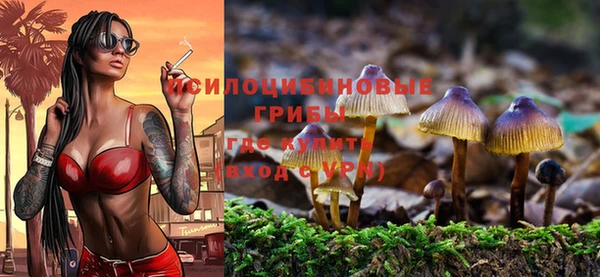 трава Армянск