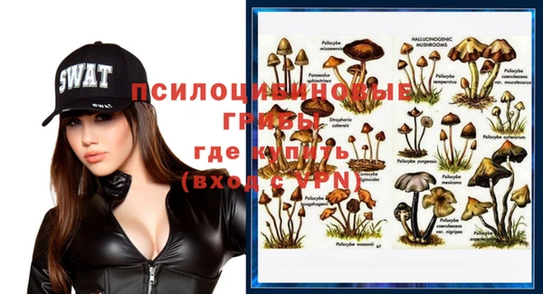 гидропоника Аркадак