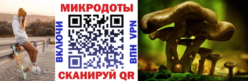 Галлюциногенные грибы GOLDEN TEACHER  Купить  Дербент 