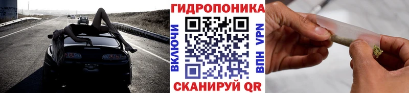 Купить закладки  Дербент  МАРИХУАНА ГИДРОПОН 